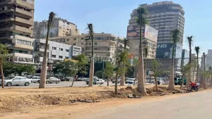 مطالب بكباري للمشاة في شارع جامعة الدول بعد التوسعة ومسؤول يرد على المطالب