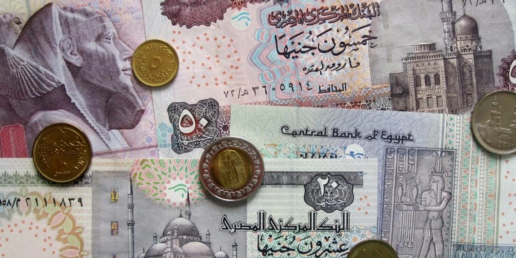 ما هو الحد الأدنى للدخل الشهري بالجنيه المصري لتحقيق الشعور بالسعادة؟