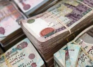 بفائدة 37.5% ومصرف مقدمًا.. تفاصيل أعلى شهادة ادخار في البنوك 2026 عقب قرار المركزي الجديد
