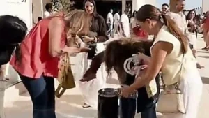 ليلى علوي تواجه موقفاً محرجاً بسبب كوب قهوة في مهرجان الجونة ويسرا تبدي رد فعل مفاجئ فيديو