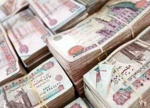 ردود فعل أصحاب المعاشات على قرار رفع الحد الأدنى 18% مع وصف الزيادة بأنها لا تستحق التعليق