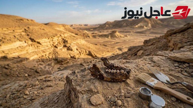 اكتشاف أحفورة عمرها 18 مليون سنة تكشف تفاصيل فك وأسنان في صحراء مصر