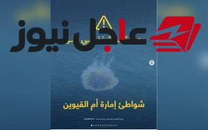 وزارة التغير المناخي الإماراتية توضح سبب الروائح المنتشرة في بعض المناطق