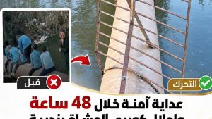 وزير الري يوجه بتحرك عاجل خلال 48 ساعة بسبب توقف اجتماعات روما على خلفية صورة أطفال البحيرة